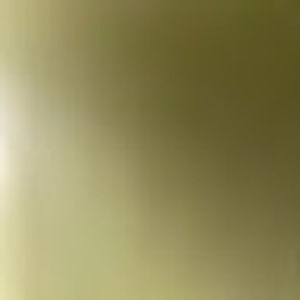 Meet your Posher, Giselle